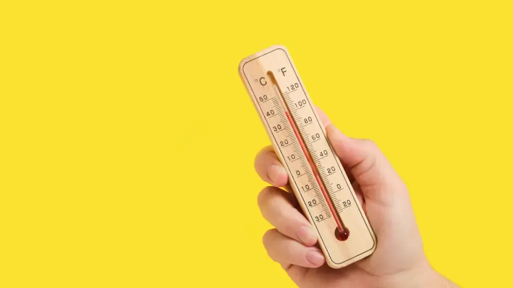 Italie : la canicule menace le Parmesan